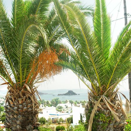 Archodia Studios Kéfalos Dış mekan fotoğraf